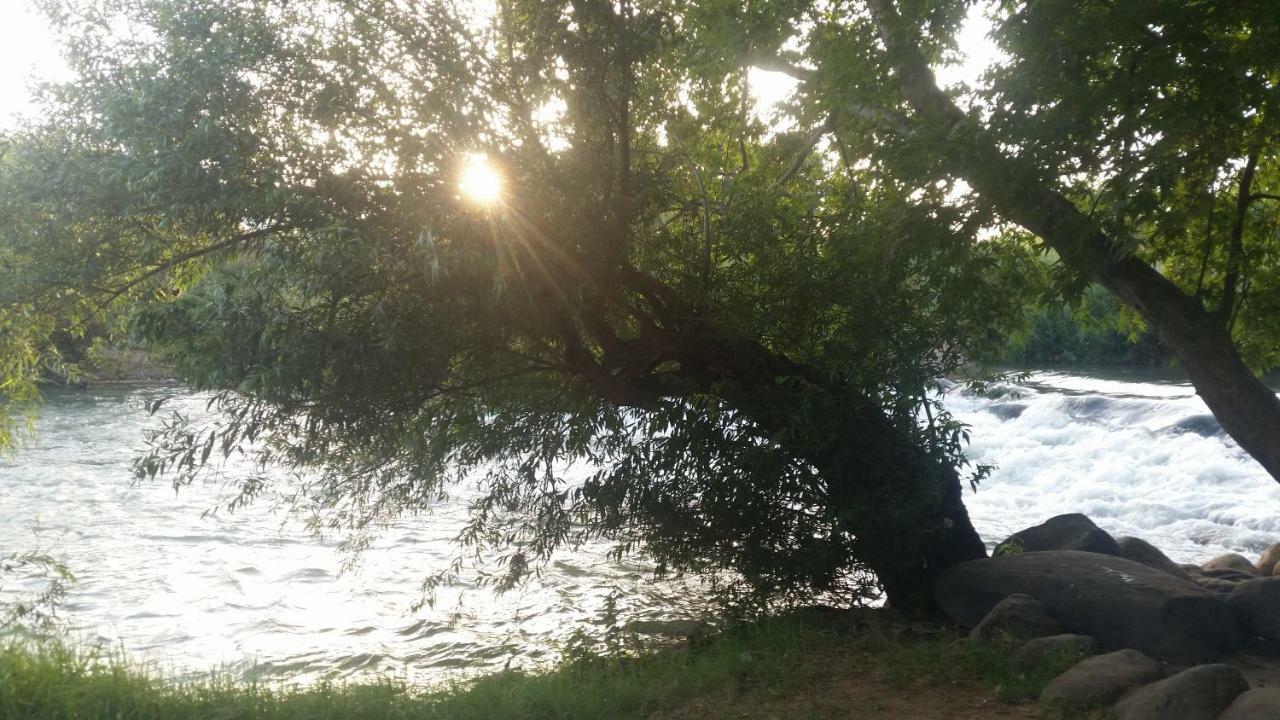 Naftali Albilia Kirjat Szemona Zewnętrze zdjęcie